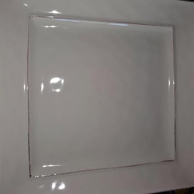 Set of 16 dinner plates and 8 matching Salad plates