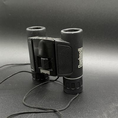 LOT 69C: Two Pairs of Binoculars - Bushnell & Tasco