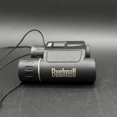 LOT 69C: Two Pairs of Binoculars - Bushnell & Tasco