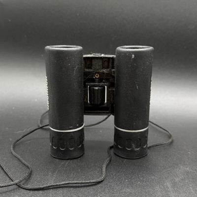 LOT 69C: Two Pairs of Binoculars - Bushnell & Tasco