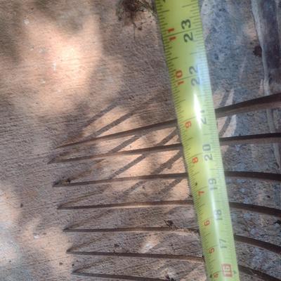 Vintage 14 Tine Ensilage (B4)