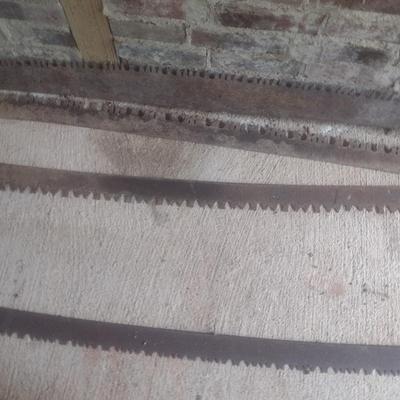 Collection of Antique Cross Cut Saw Blades
