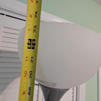 Double Light Frosted Plastic Shade Floor Lamp (PB)