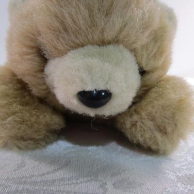 Sale Photo Thumbnail #578: Brown bear is 16" tall, See pictures