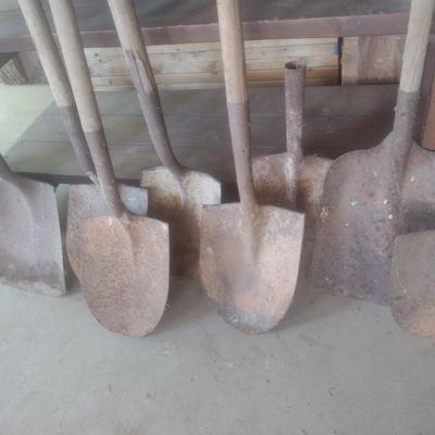 Collection of Garden Hand Tools Choice B (B5)