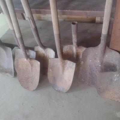 Collection of Garden Hand Tools Choice B (B5)