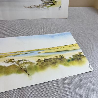 Sale Photo Thumbnail #276: Soothing! Not Framed. Nice Paintings. 