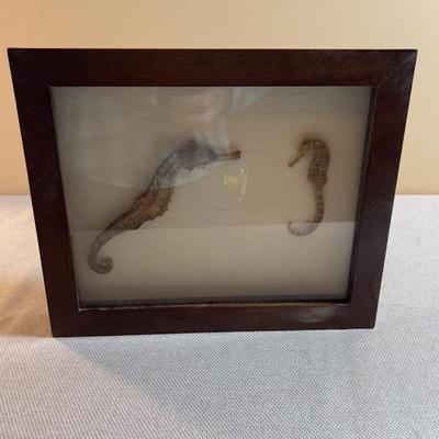 Sale Photo Thumbnail #338: VERY Interesting! Rare! Measures 12 X 9" 