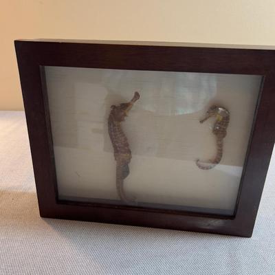Sale Photo Thumbnail #337: VERY Interesting! Rare! Measures 12 X 9" 