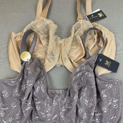 2 New Wacoal Bras Size 36H