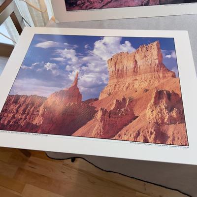 Sale Photo Thumbnail #639: Mounted to Foam Core. NICE Clear Pictures. 19" X 24" 