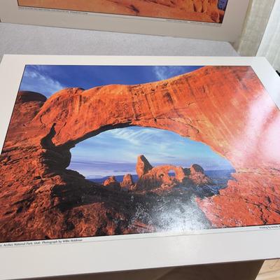 Sale Photo Thumbnail #636: Mounted to Foam Core. NICE Clear Pictures. 19" X 24" 