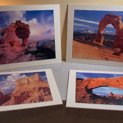 Sale Photo Thumbnail #635: Mounted to Foam Core. NICE Clear Pictures. 19" X 24" 