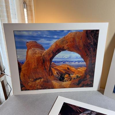Sale Photo Thumbnail #650: Mounted to Foam Core. NICE Clear Pictures. 19" X 24" 