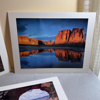 Sale Photo Thumbnail #648: Mounted to Foam Core. NICE Clear Pictures. 19" X 24" 