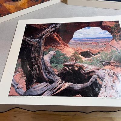 Sale Photo Thumbnail #647: Mounted to Foam Core. NICE Clear Pictures. 19" X 24" 
