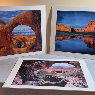 Sale Photo Thumbnail #643: Mounted to Foam Core. NICE Clear Pictures. 19" X 24" 