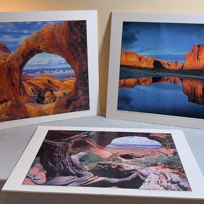 Sale Photo Thumbnail #642: Mounted to Foam Core. NICE Clear Pictures. 19" X 24" 