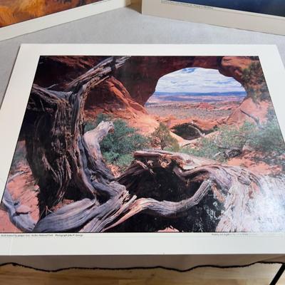 Sale Photo Thumbnail #645: Mounted to Foam Core. NICE Clear Pictures. 19" X 24" 