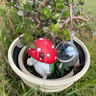 Plant with gnome decor