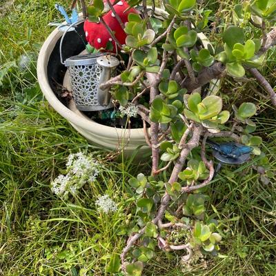 Plant with gnome decor