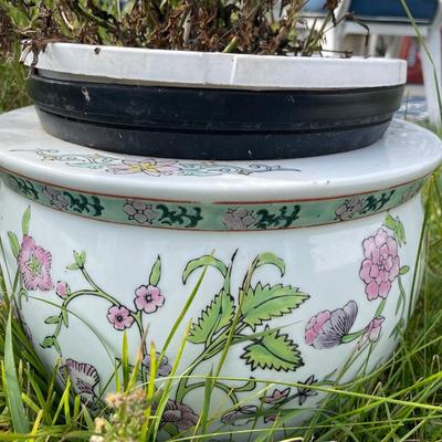 Porcelain pot with plant