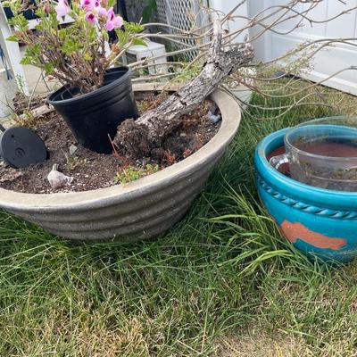 Outdoor grouping of pots