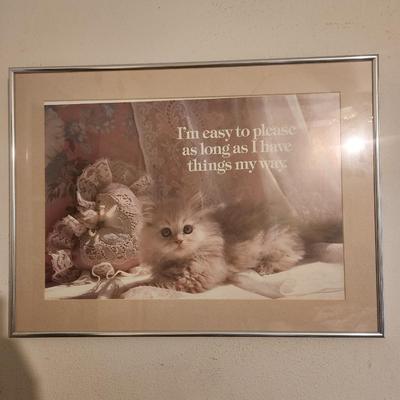Cat Picture w/ Frame