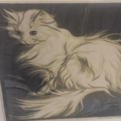 Framed Art Print 'Angora Cat' by Norbertine Bresslern-Roth