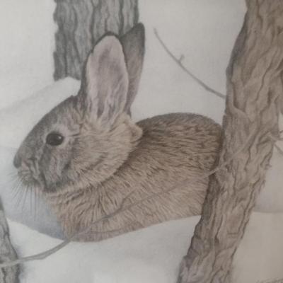 Framed Art Print Limited Edition 'Nuttal's Cottontail' 387/500 by Jan Henderson