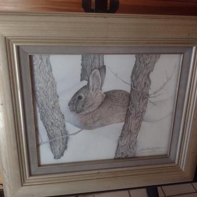 Framed Art Print Limited Edition 'Nuttal's Cottontail' 387/500 by Jan Henderson