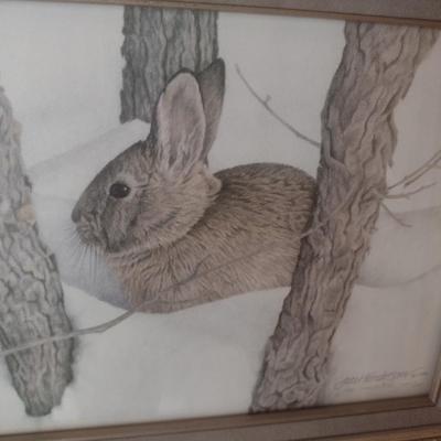 Framed Art Print Limited Edition 'Nuttal's Cottontail' 387/500 by Jan Henderson