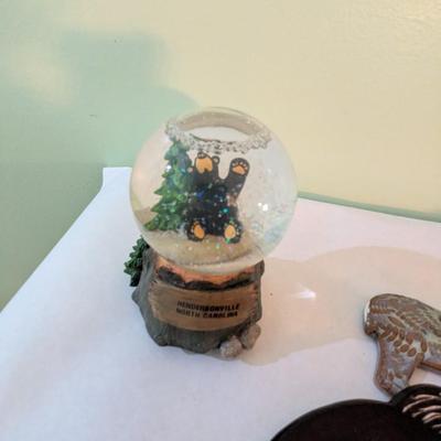 Bear Collection (HW)