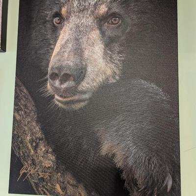 Relaxed Bear Print Signed April Johnson