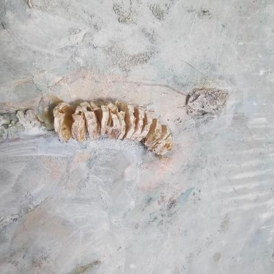 Pair of Mixed Media Images by Joyce Blunk (D-JS)