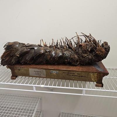 Three Joyce Blunk Mixed Media Art Sculptures (PC-JS)