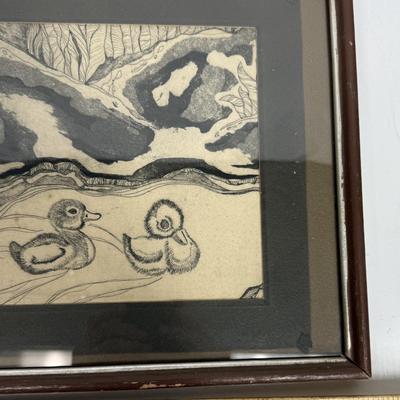 Framed Etching of Two Baby Duckings Swimming, unsigned