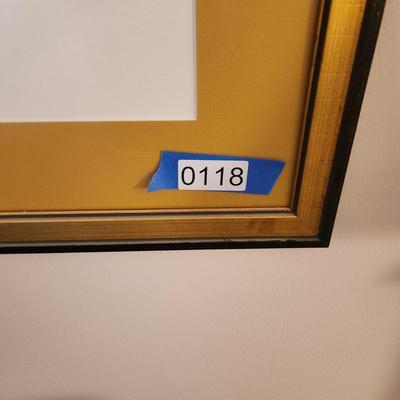 Framed Rabindra Danks Tiger 1972