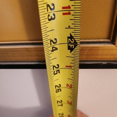 Framed Rabindra Danks Tiger 1972