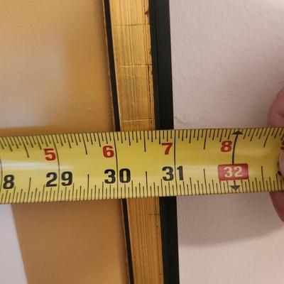 Framed Rabindra Danks Tiger 1972