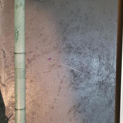 "Mother In-Laws Tongue" by Joyce Blunk (D-EL)