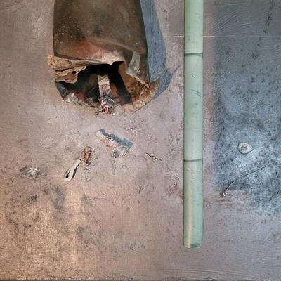 "Mother In-Laws Tongue" by Joyce Blunk (D-EL)