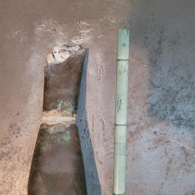 "Mother In-Laws Tongue" by Joyce Blunk (D-EL)