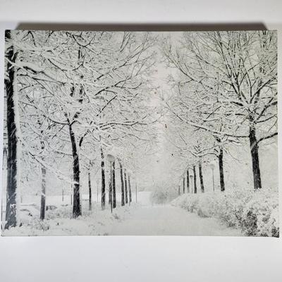 Sale Photo Thumbnail #428
