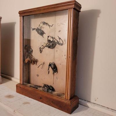 "Free Fall" and "Blue - Green, Four Locusts" by Joyce Blunk (D-EL)