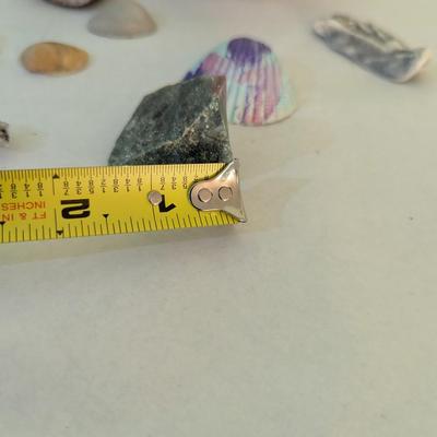 Sea Shells & Rocks #7