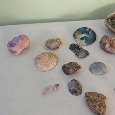 Sea Shells & Rocks #7