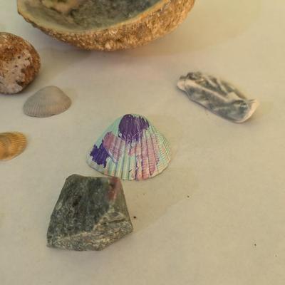 Sea Shells & Rocks #7