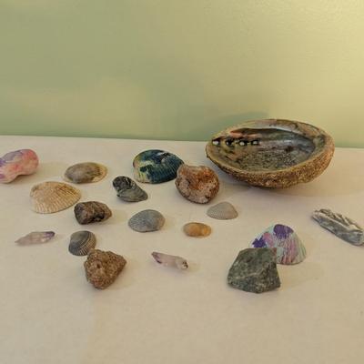 Sea Shells & Rocks #7