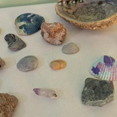 Sea Shells & Rocks #7